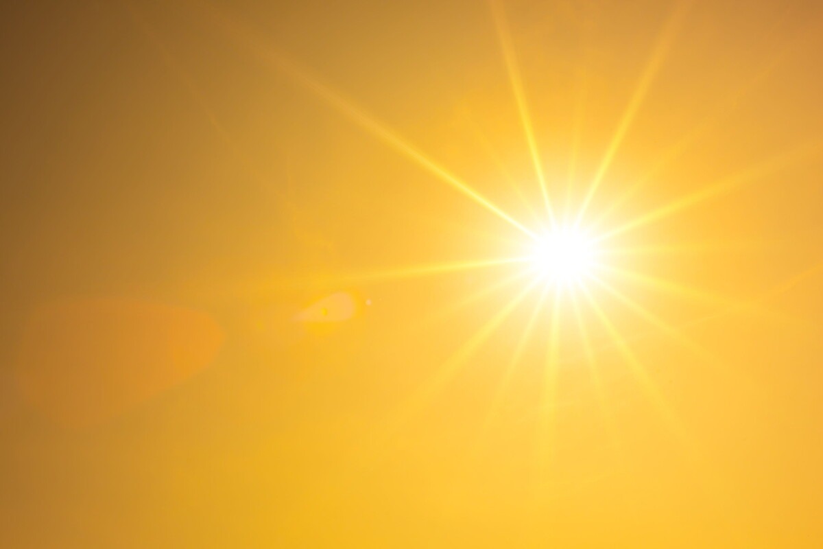 Felle zon