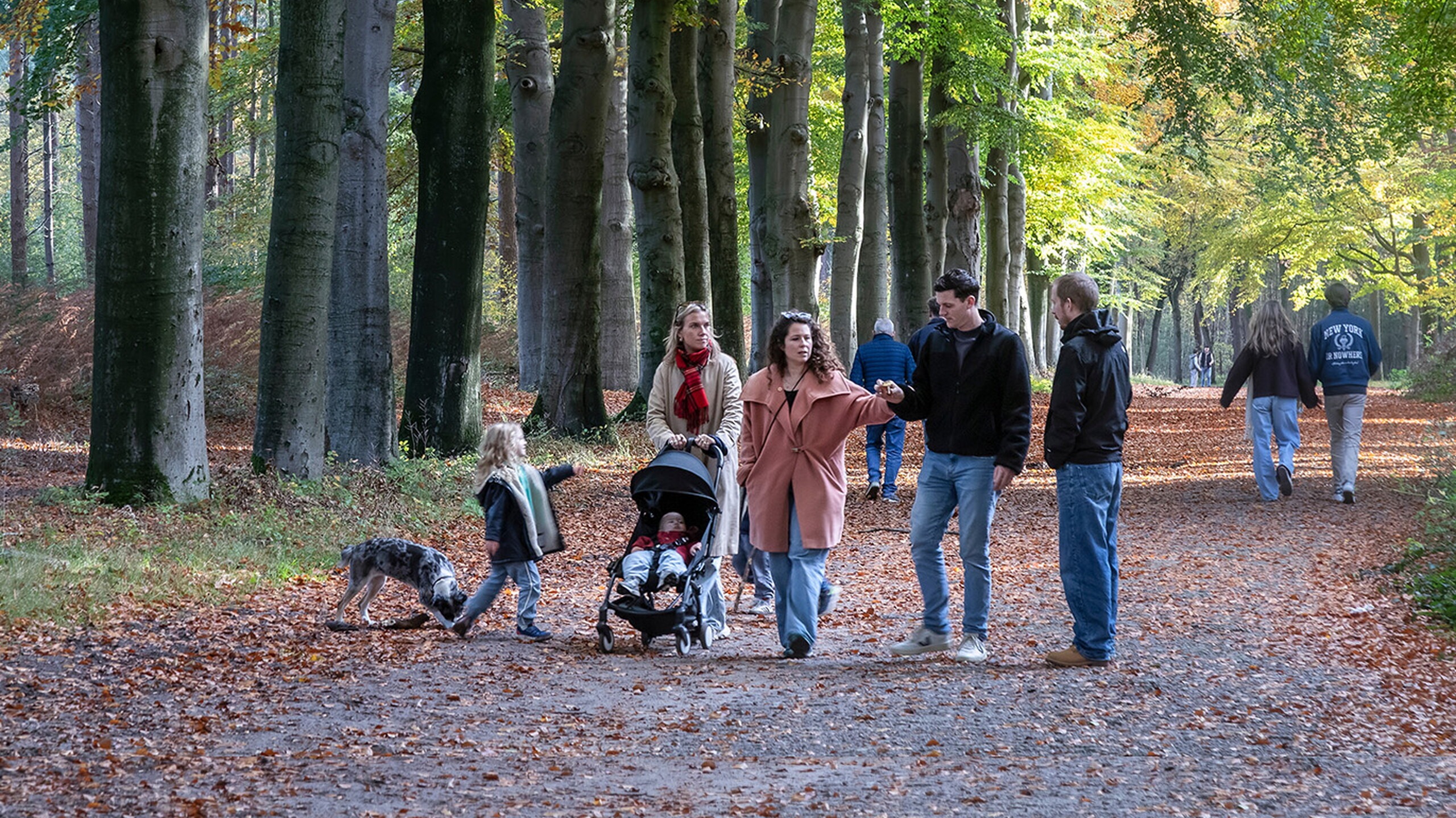 Mensen wandelen in het bos in de herfst
