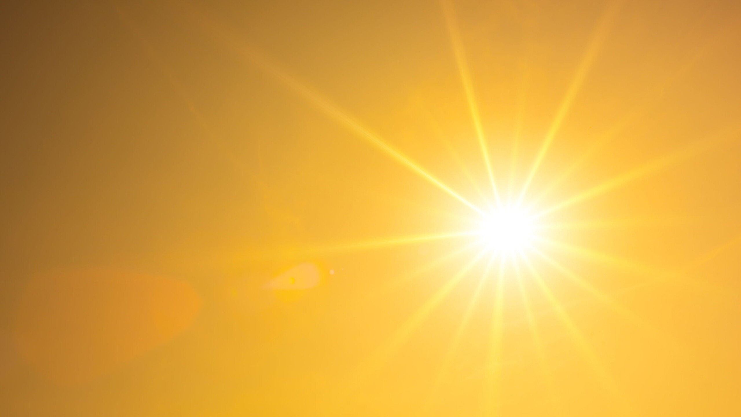 Felle zon